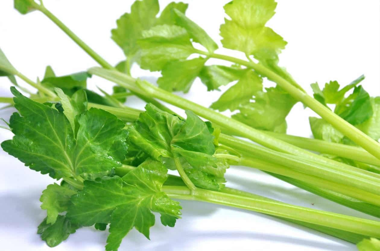 蔬菜是個(gè)寶，這些部位也更好！