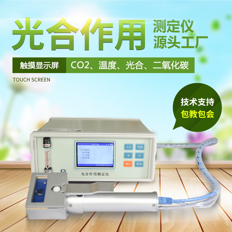 光合作用 光合作用