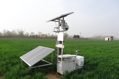 智能孢子 智能孢子